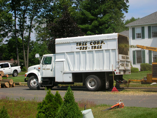 Several large capacity chip and dump trucks that move tree debris off your property swiftly and efficiently.