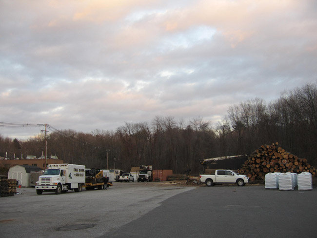 Several large capacity chip and dump trucks that move tree debris off your property swiftly and efficiently.