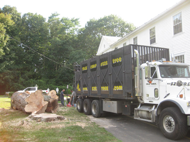 Full size, tri-axle truck with rear mounted grapple arm to load tree debris and large diameter logs and for carrying tree trunks over driveways.  Great for removal of storm damaged trees from houses.