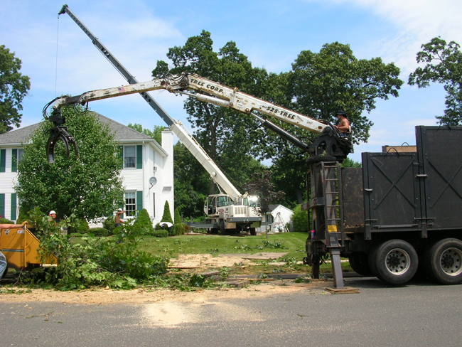 We use different sizes of cranes to minimize lawn damage and maximize efficiency and safety.