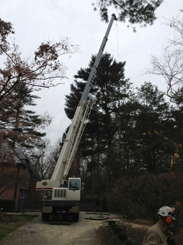 We use different sizes of cranes to minimize lawn damage and maximize efficiency and safety.