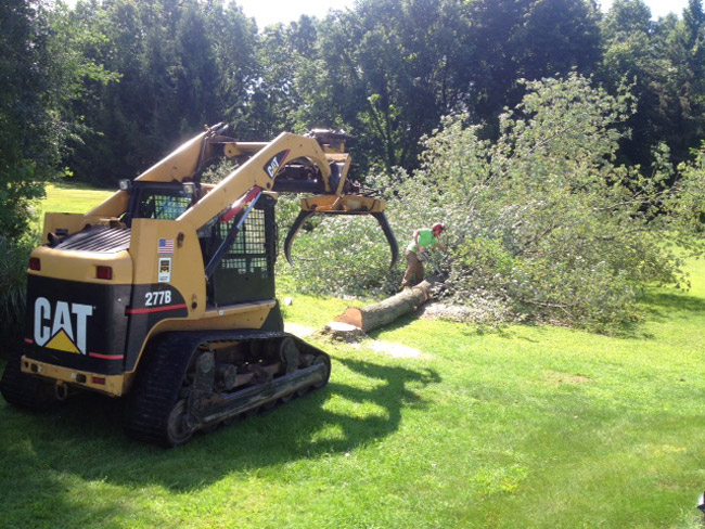 Caterpillar multi-terrain loaders have rubber tracks with low ground pressure for minimal impact on lawns. (3 lbs. per square inch ground pressure) 7 foot wide, compact size for accessibility. Moves materials (logs and brush) from yard to the street to be chipped. And we have several experienced operators.
